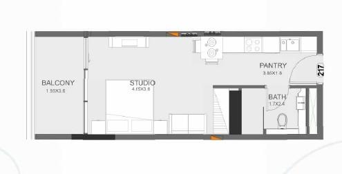 Floarea Oasis - Studio