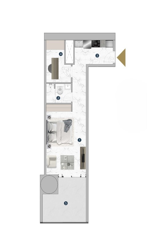 Franck Muller Vanguard by London Gate - Studio Plus