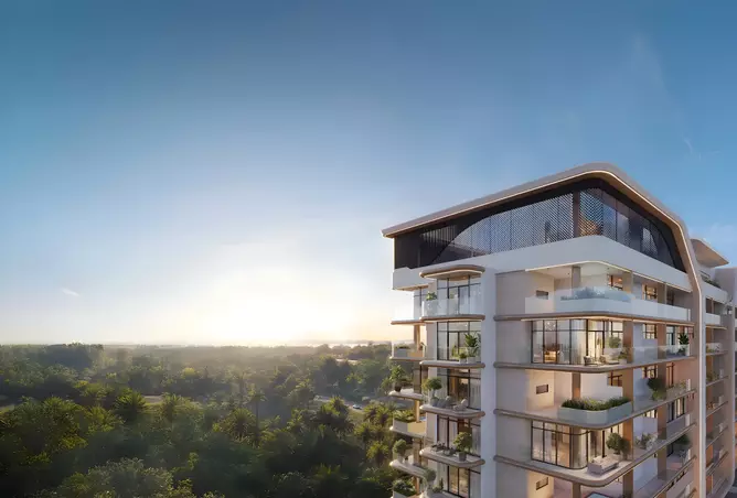 Celeste Heights