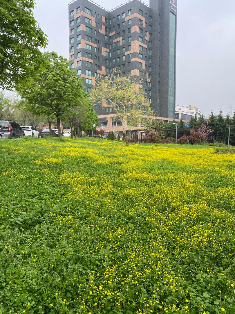 Quality Residence: Vatandaşlığa Uygun Lüks Mağazalar